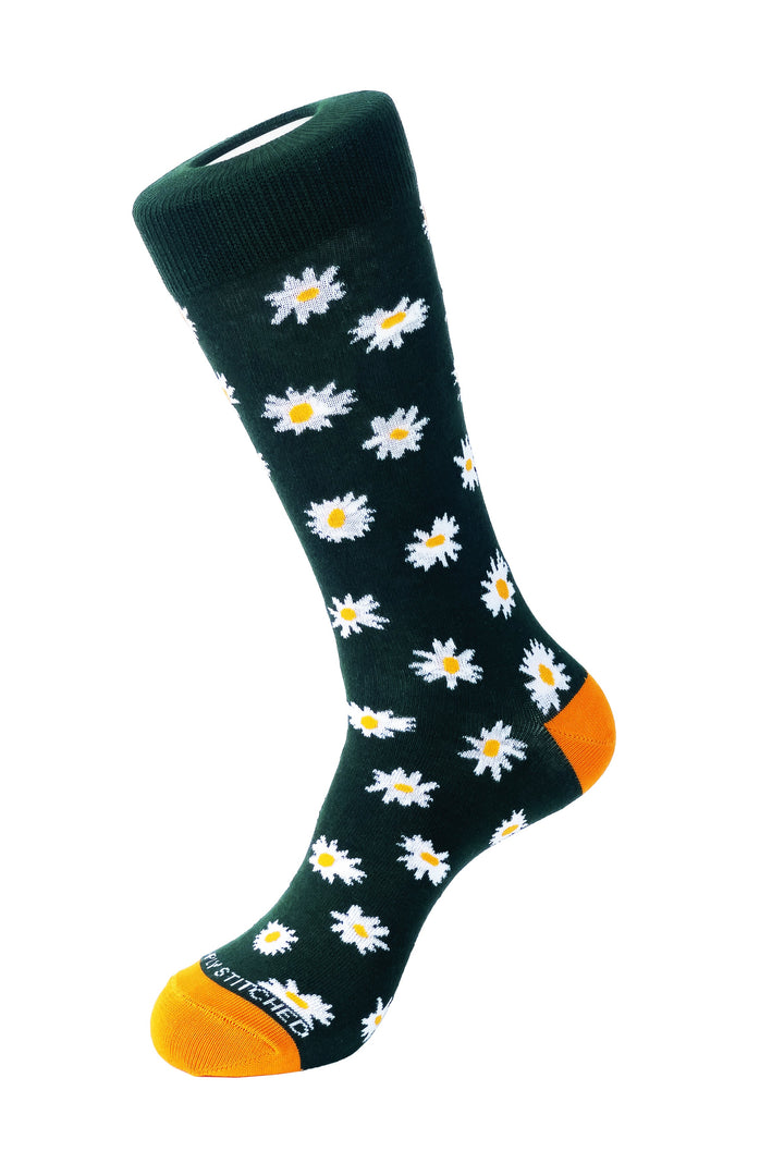 Daisy Field